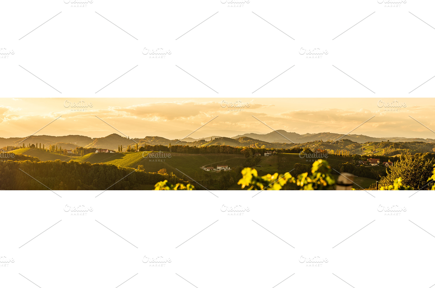 Vineyards panorama along Styrian, a Nature Photo by MadPhotos