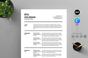 Professional Resume, a Resume Template by Blackcloud_Creations (Thumbnail 1 of 5)