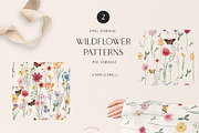MEADOW bright wild flowers set, a Decorative Illustration by Grace Noboa Illustrations (Thumbnail 6 of 8)