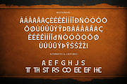 Casthena - Modern Serif Film Font, a Serif Font by overlaytemplates (Thumbnail 5 of 5)