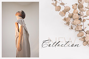 Allure & Grace. Calligraphy, a Script Font by AnMark (Thumbnail 4 of 15)