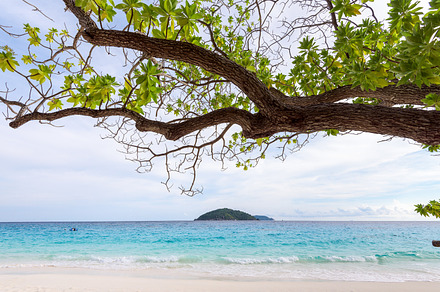 Beach featuring beach, sea, and tree, a Nature Photo by yongkiet jitwattanatam
