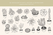 Succulents Vector Illustrations, a Decorative Illustration by Emma Webb Studio (Thumbnail 2 of 6)