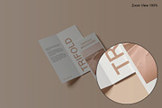 Trifold Brochure Mockup, a Books & Magazine Mockup by Lxadesign (Thumbnail 10 of 18)