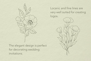 Botanical Procreate Stamps, Cliparts