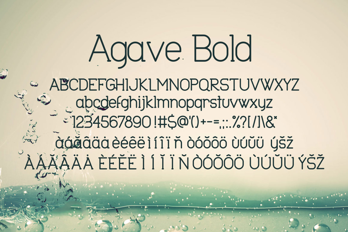 Agave Font Trio preview 5