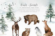 Mystical Winter, an Animal Illustration by Graphic Box (Thumbnail 8 of 15)