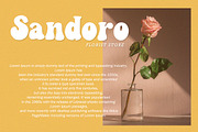 Canden - Display Handwritten Font, a Handwritten Font by Struggle Studio (Thumbnail 6 of 10)