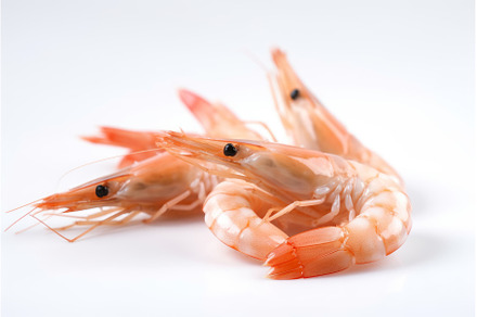 Fresh shrimp food. Generate Ai, a Food & Drink Photo by Ylivdesign