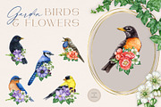 Garden Birds Watercolor Painted Set, an Animal Illustration by AnitaPol (Thumbnail 13 of 21)