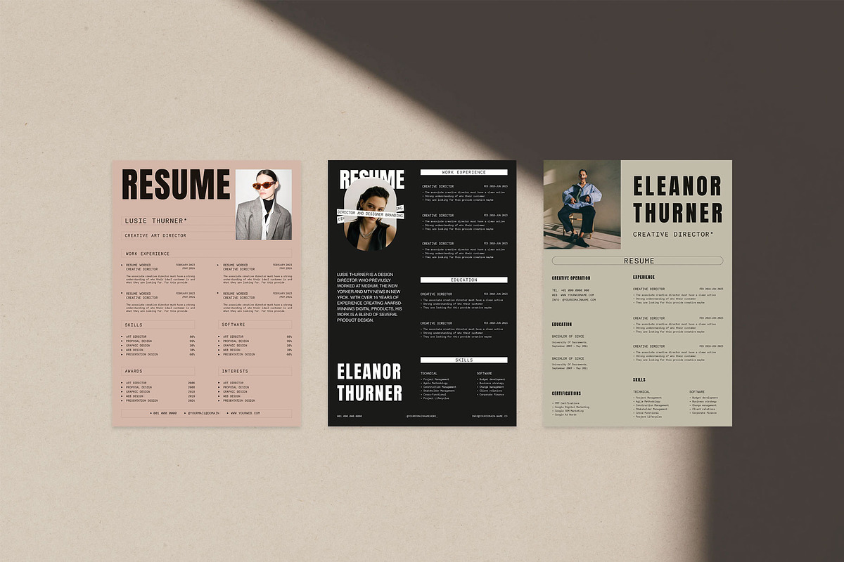 Resume Kit, a Resume Template by UX-group (Photo 6 of 9)