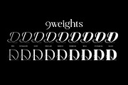 Ceciliany Serif Font Family, a Serif Font by Ryul Davidson (Thumbnail 7 of 25)