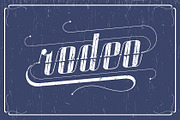 Roadster font family + Extras, a Script Font by Fontop (Thumbnail 9 of 26)