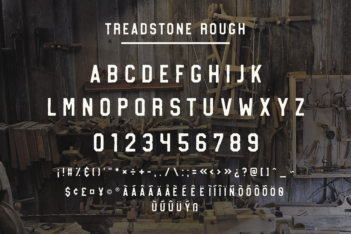 Treadstone - 8 Font Family, a Slab Serif Font by Greg Nicholls (Photo 13 of 16)