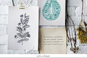 Exotic Plants Vector Collection, a Seasonal Illustration by Yevheniia (Thumbnail 3 of 6)