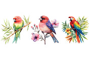 Tropical Birds Garden Clipart, an Icon by Dream Creation (Thumbnail 6 of 6)