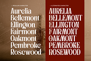 Westford - Modern Serif Logo Font, a Serif Font by Illushvara Design (Thumbnail 14 of 15)