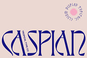 Elysium Display Font, a Serif Font by Tropical Type (Thumbnail 8 of 13)