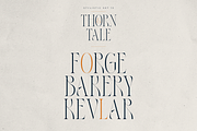 Thorn & Tale – A Refined Serif Font, a Serif Font by VP Fonts (Thumbnail 27 of 30)