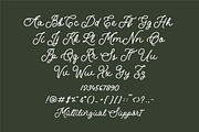 The Oldie Monoline Script, a Script Font by etigletters (Thumbnail 9 of 9)