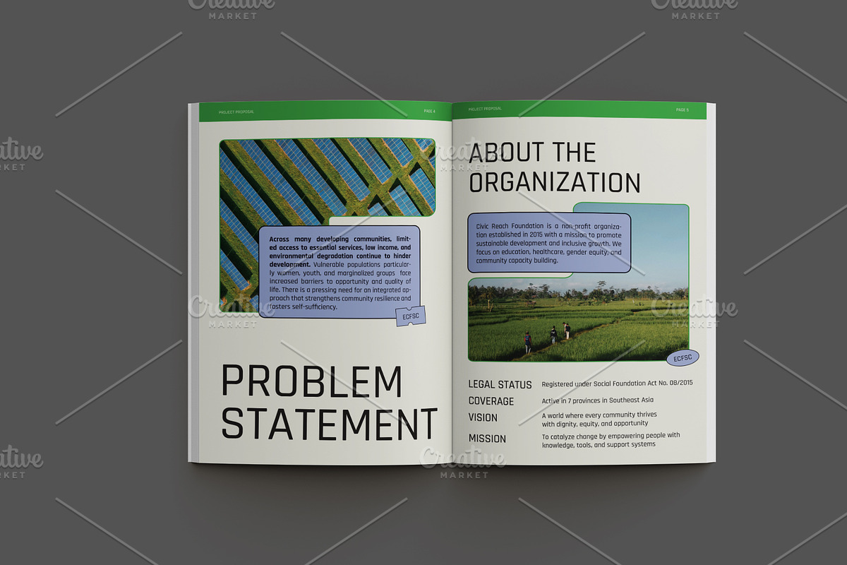 NGO Project Proposal preview 4