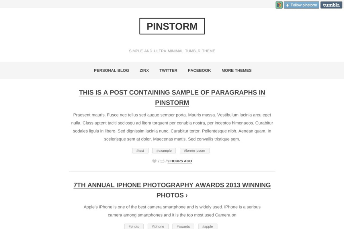 Pinstorm - Minimal Tumblr Theme, a Websites & App Template by thezinx (Photo 2 of 3)