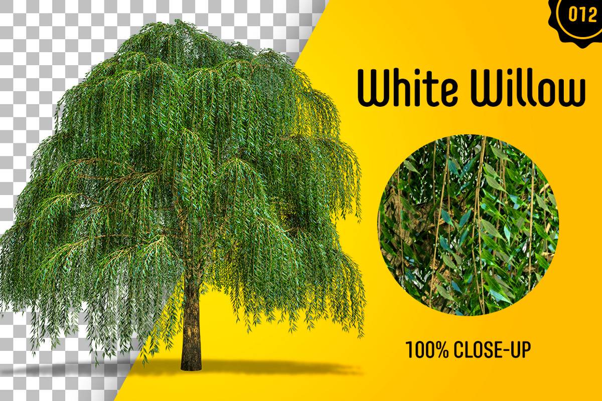 CUT OUT TREES - 60 PCS BUNDLE, a Packaging Mockup by 3DSTORE (Photo 13 of 63)