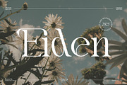 Eiden || Modern Serif Font, a Serif Font by Idea Studio (Thumbnail 1 of 11)