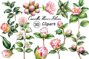 Camellia Flower Bloom PNG Clipart, an Illustration by Creative Art