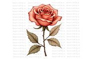 Terracotta Rose, a Decorative Illustration by Bloom Craft Creations (Thumbnail 8 of 10)