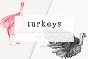 Hand drawn Turkeys Illustrations, an Animal Illustration by Greek fonts by nantia.co (Thumbnail 1 of 6)