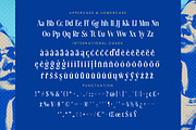 Moonni Zehher Bold Tall Serif, a Serif Font by timelesstype.co (Thumbnail 19 of 20)