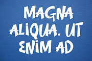 Apple ii - Display Font, a Font by Fontcastle (Thumbnail 7 of 8)
