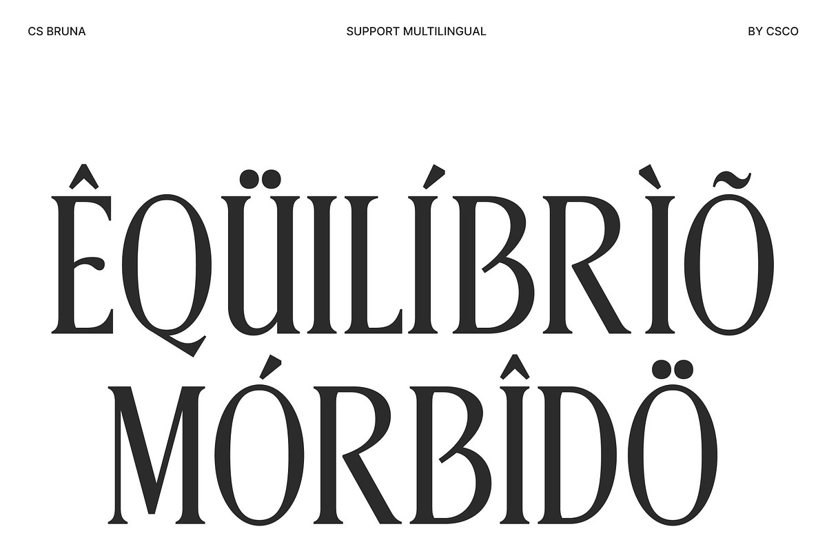 CS Bruna – Contemporary Font, a Serif Font by Craft Supply Co. (Photo 7 of 8)