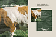 Crumpled Paper Texture Overlays, a Texture Graphic by Purple (Thumbnail 13 of 17)