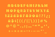 Retro Font Bundle, a Serif Font by The Type Fella (Thumbnail 3 of 25)