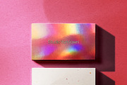Mikado Business Card Mockup Template, a Mockup by Studio Yorktown (Thumbnail 6 of 14)