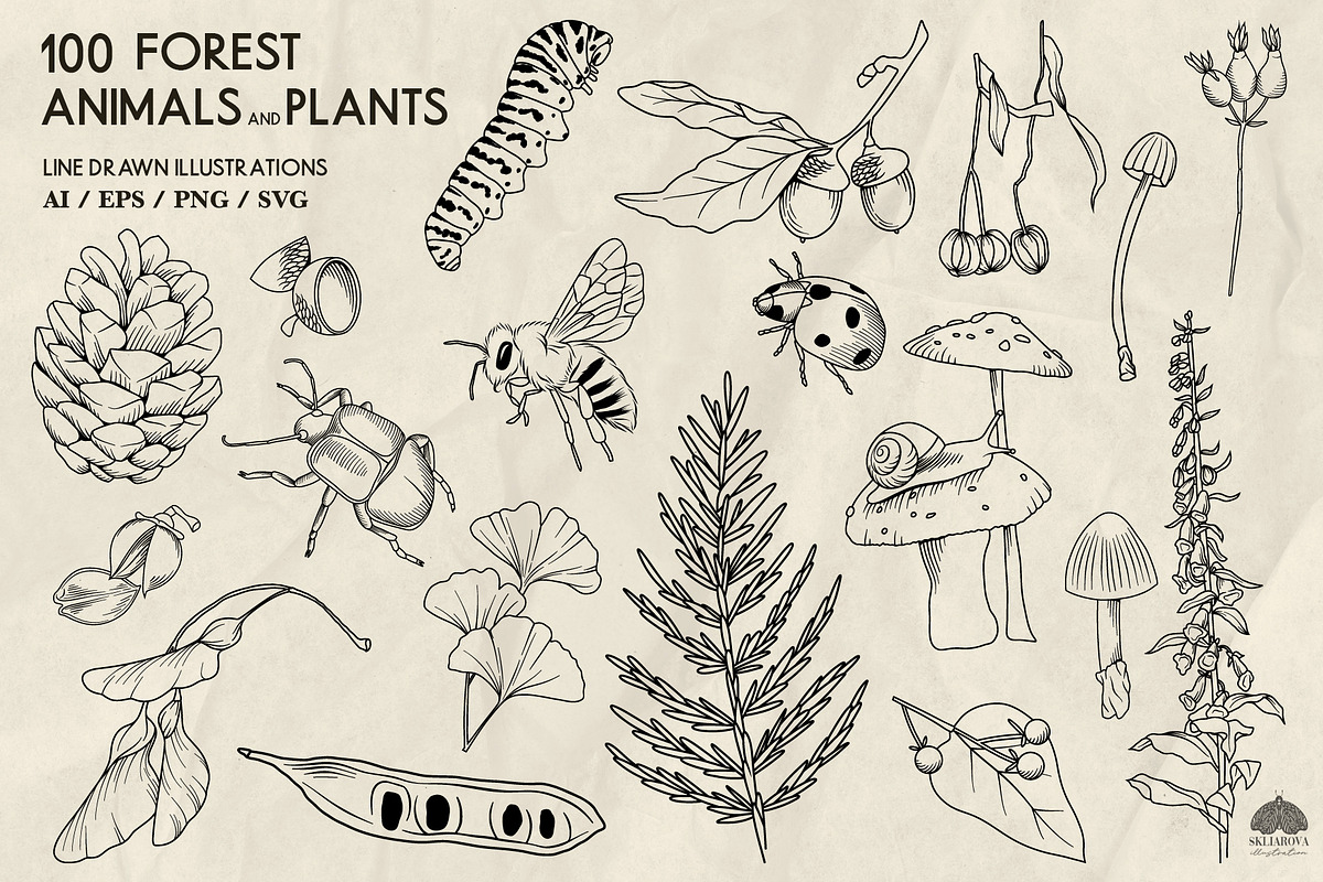 Forest Life Line Art + Procreate, an Object Illustration by Skliarova (Photo 5 of 6)
