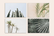 Palm & Cactus Bundle, a Nature Photo by Floral Deco (Thumbnail 6 of 6)