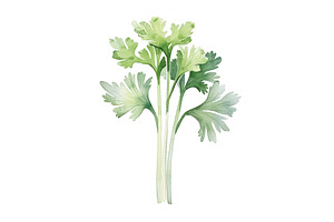 Fresh Organic Celery Vegetable, an Illustration by Visual Generation