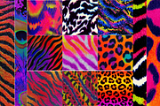 Feral Fever Pattern Collection, a Background Graphic by Avery Burke Creative (Thumbnail 2 of 4)