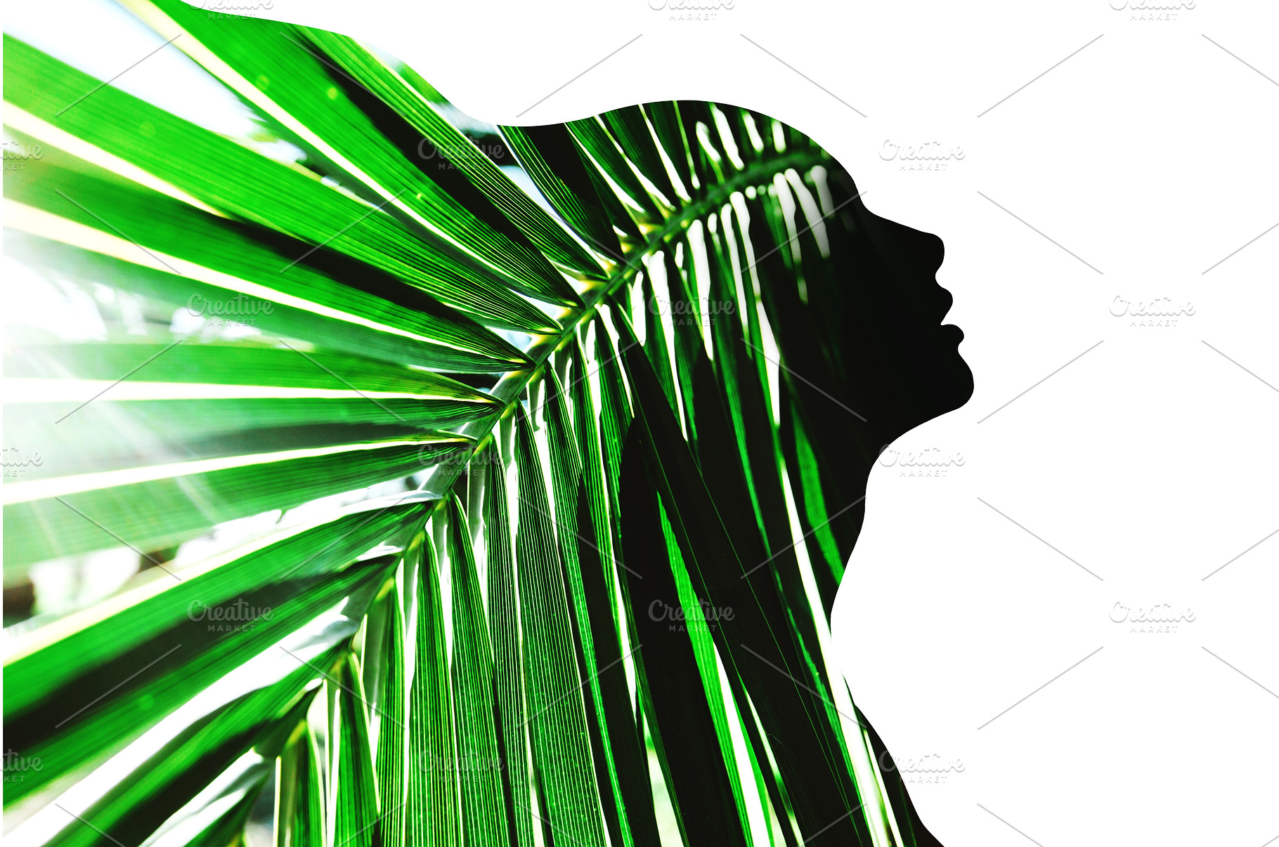 Profile of beautiful woman with palm, a Person Photo by Anna Efetova