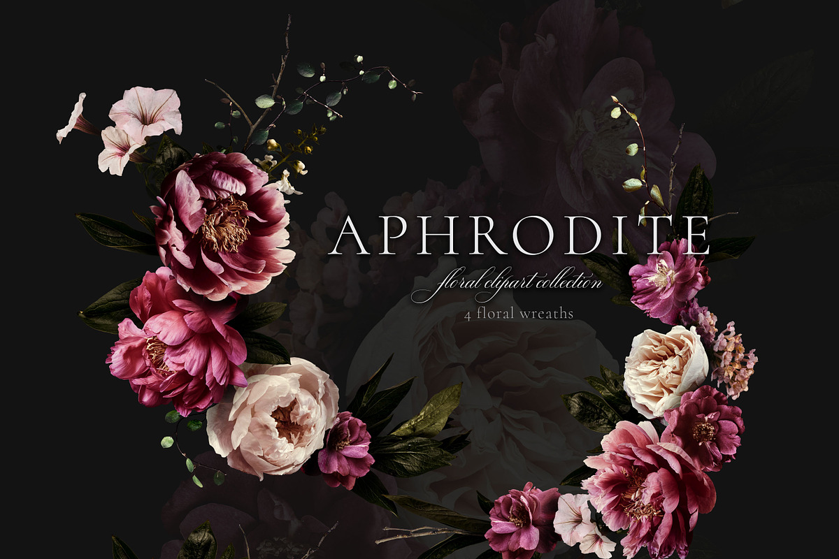 Aphrodite Floral Clip Art Collection, an Object Graphic by Eclectic Anthology (Photo 4 of 13)