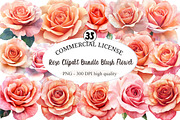 Rose Clipart Bundle Blush Flower, an Illustration by designcity5 (Thumbnail 1 of 5)