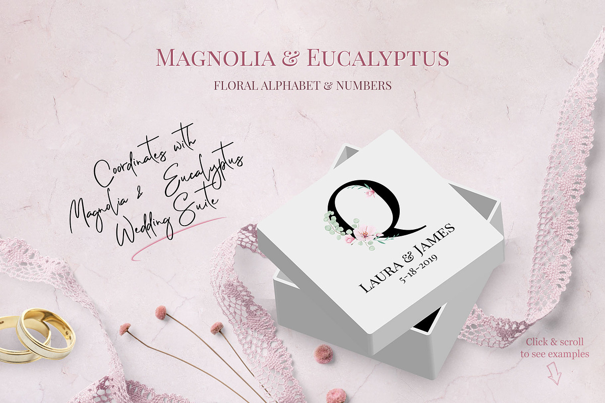Magnolia & Eucalyptus Alphabet, an Illustration by Maggie Stilwell Design (Photo 2 of 5)
