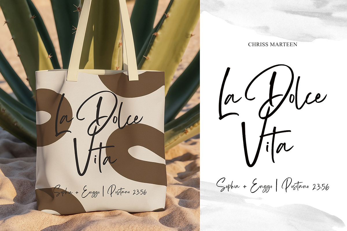 Sisterhood - Chic Brush Font, a Script Font by din-studio.com (Photo 4 of 16)