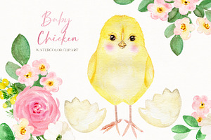 Baby Chicken. Watercolor Clipart