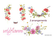 Wildflowers, an Illustration by patriziamoscone (Thumbnail 5 of 10)