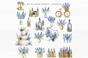 BLUEBONNET FLOWER CLIPART, an Object Graphic by EllyandLima (Thumbnail 5 of 7)