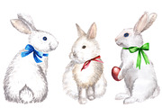 Easter Rabbits and Eggs Collection, an Animal Illustration by Sveta Aho (Thumbnail 2 of 7)